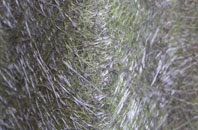 Kiltarlity fibreglass roof work